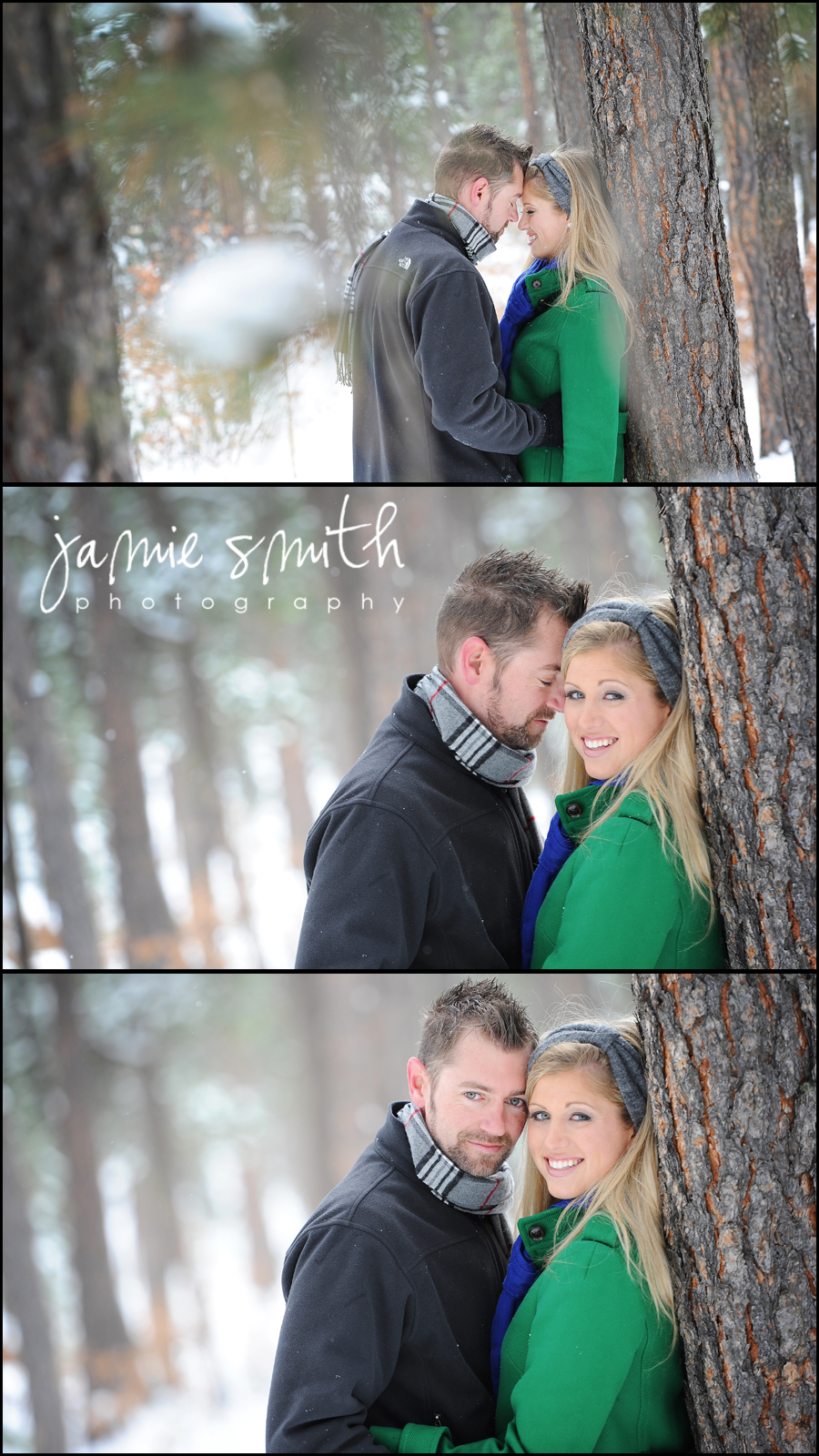 Engaged portraits by a tree at Fox Run Park