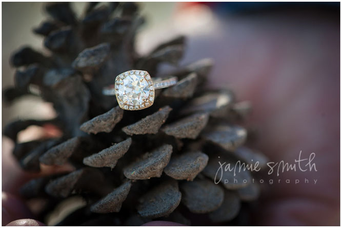Beautiful engagement ring displayed in a pinecone