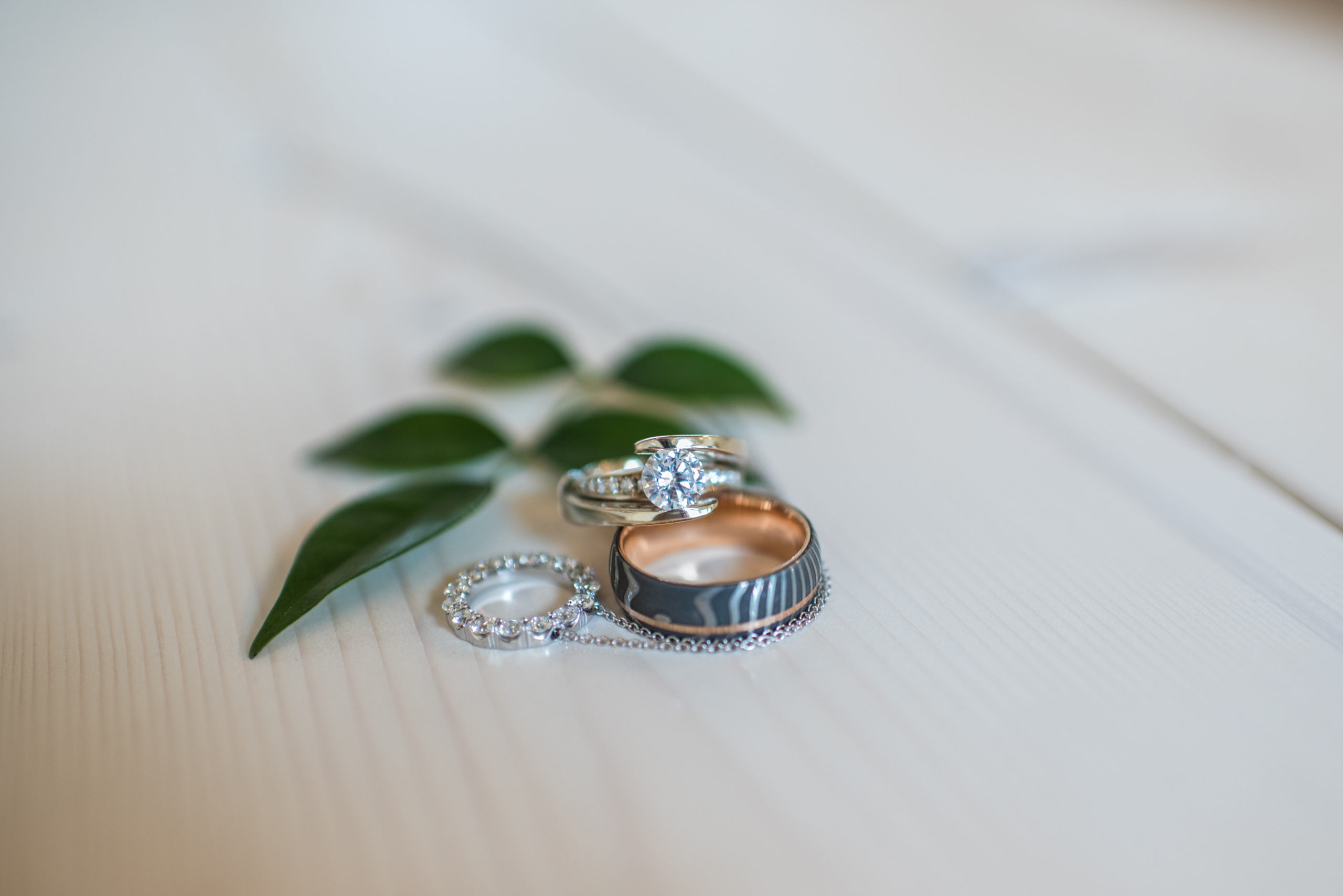 wedding rings and greenery at Flying Horse Ranch Wedding venue