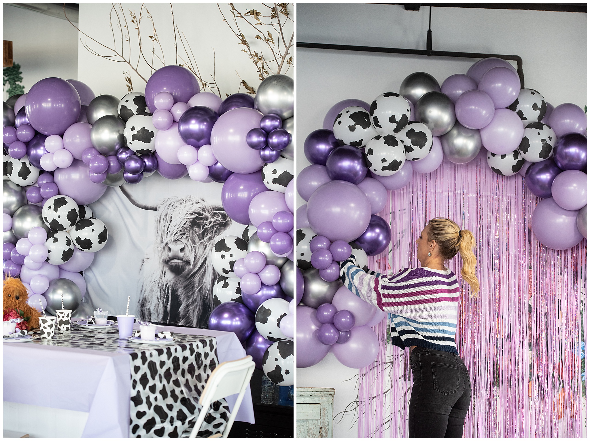 A woman fixes purple cow balloon decorations for a birthday party balloons colorado springs co
