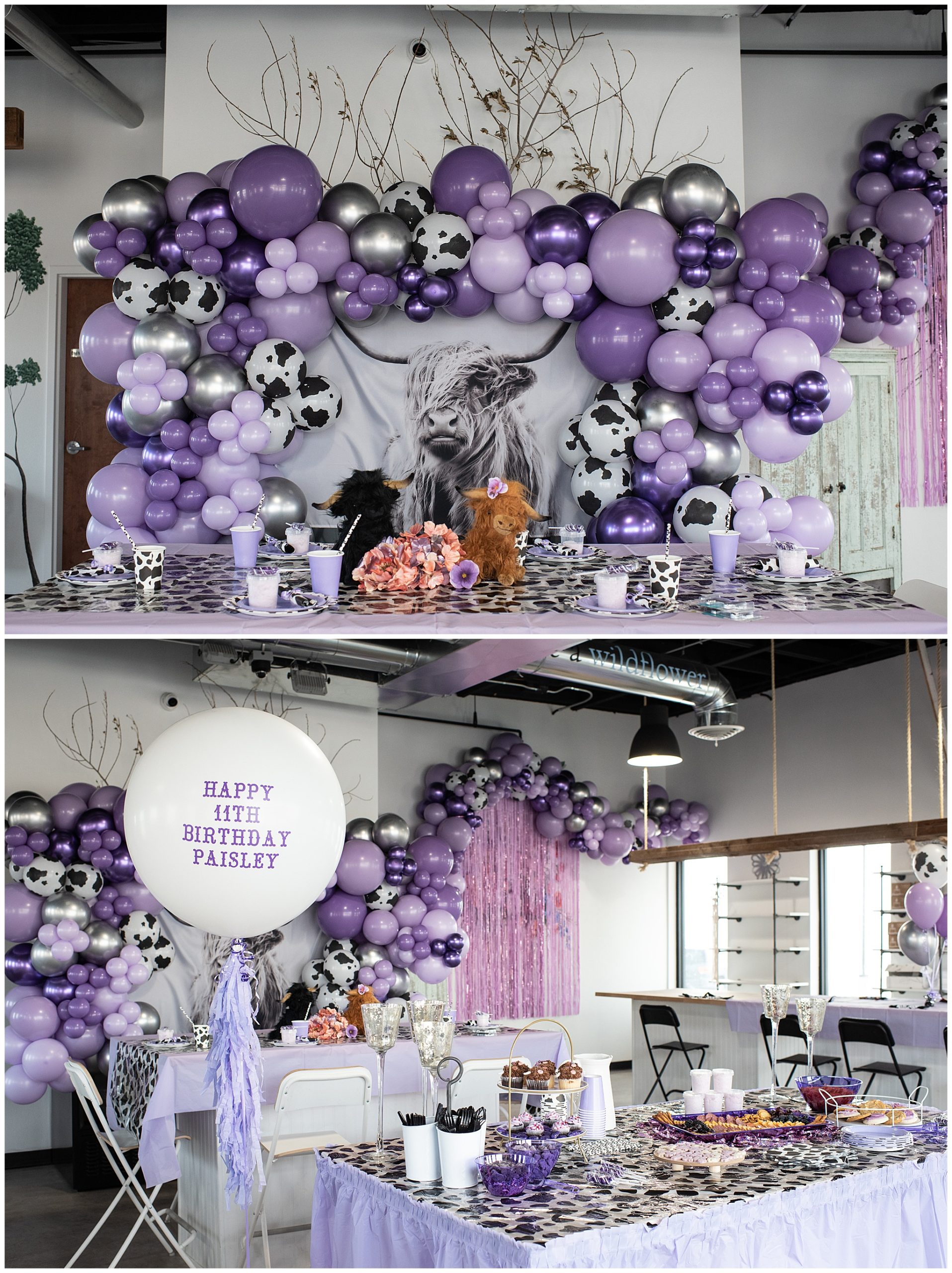 A birthday party with a purple cow theme is all decorated