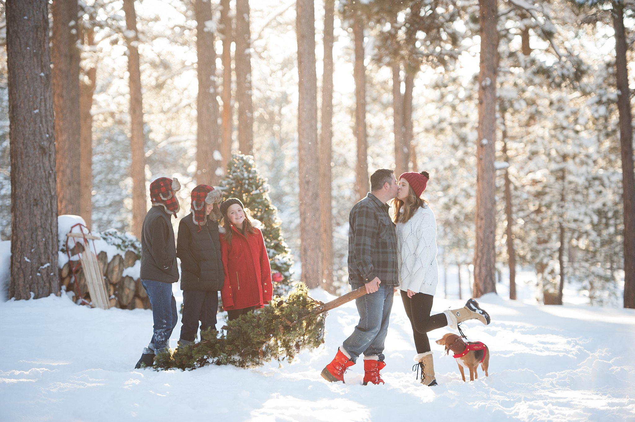 A mom and dad kiss in the snow while dragging a christmas tree with their three children behind them
