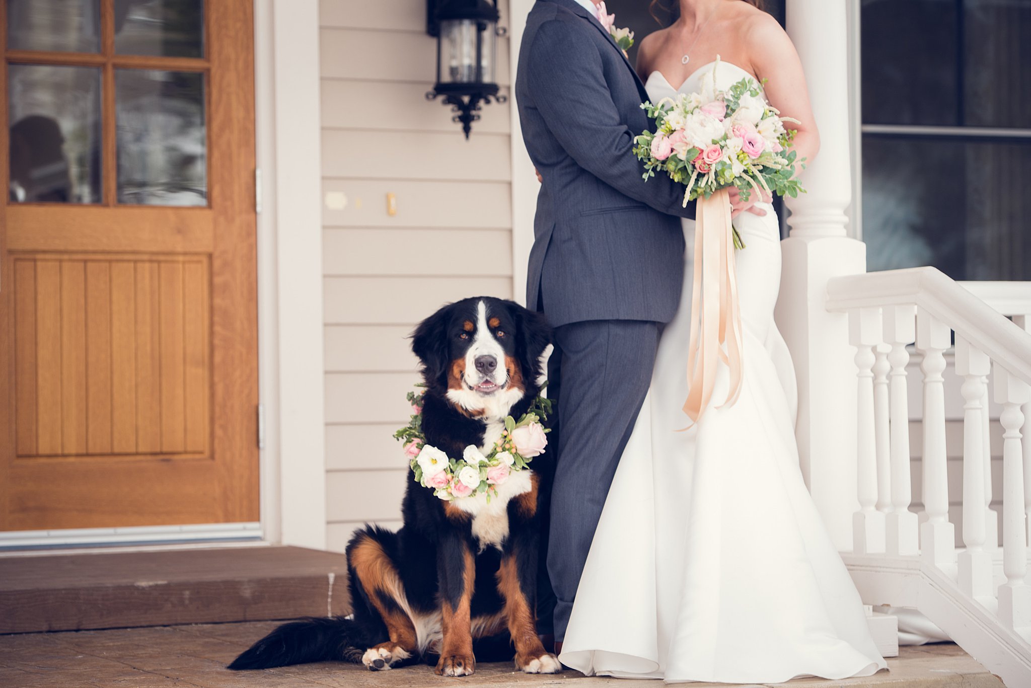A multi color dog sits with the newlyweds on a porch at one of the small wedding venues in colorado springs