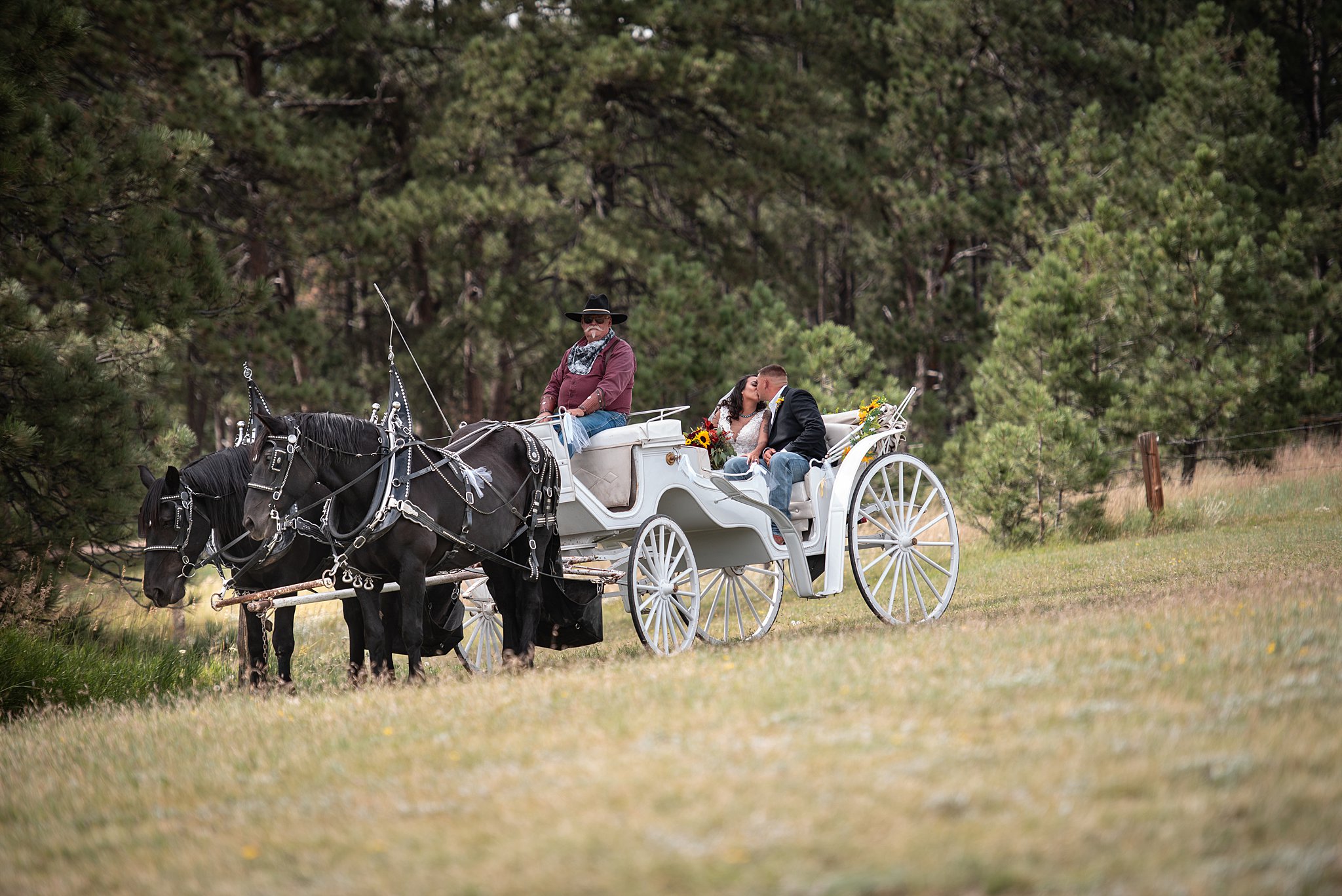 Newlyweds kiss in the back of a white horse drawn carriage in a pasture at a younger ranch wedding