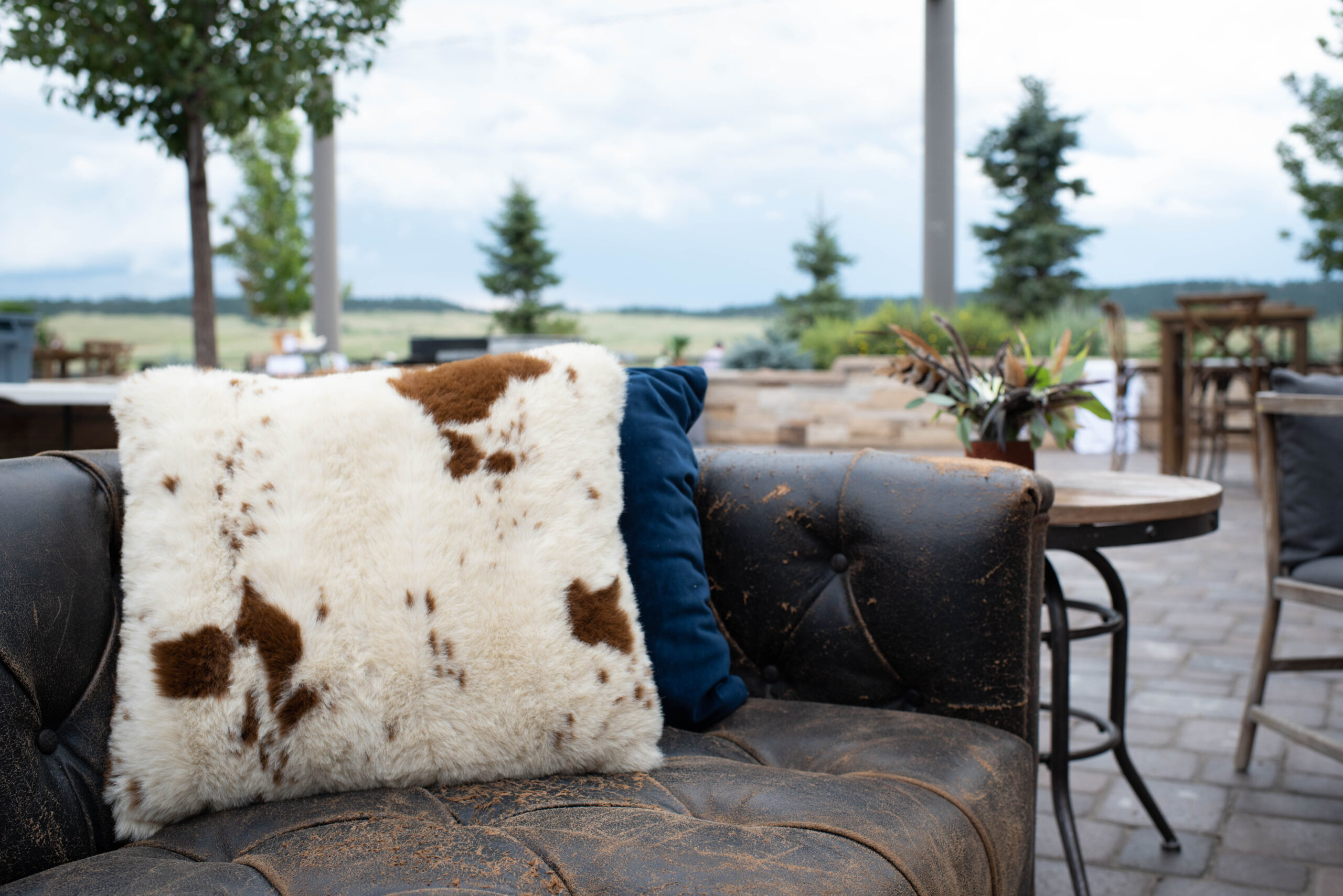 Details of a cow pattern pillow on a leather couch